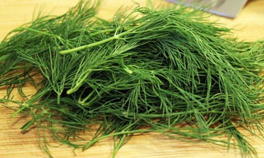 Dereotu Kalsiyum Kullanımı ve Faydaları Nelerdir?