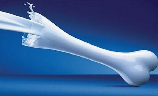 Kalsiyum Magnezyum İçeren Besinler